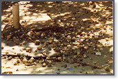 Num&eacute;riser0116_2