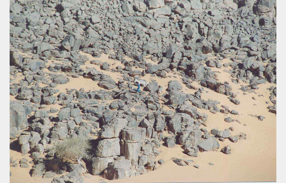 app00032_2