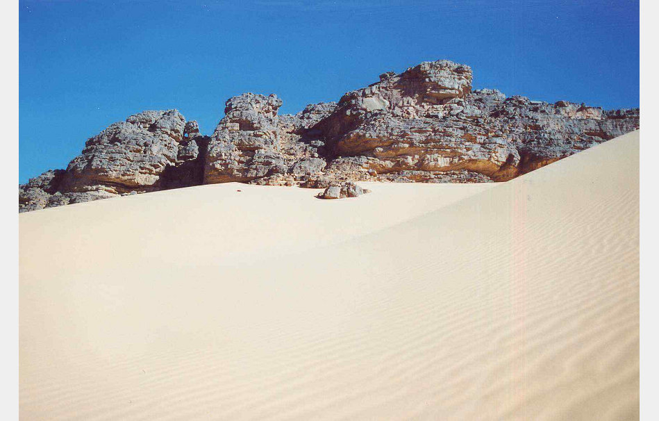 app0004_2