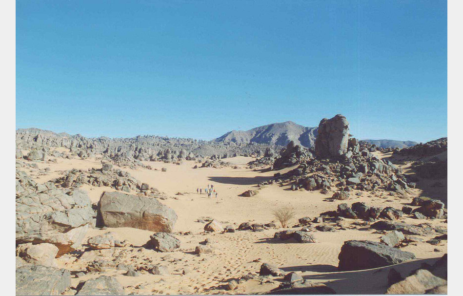 app00031_2