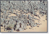 app00032_2