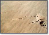 app00033_2