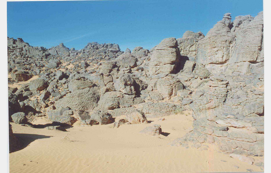 app00036_2