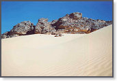app0004_2