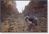 app00043_2
