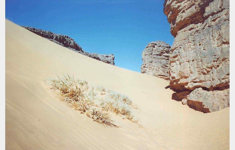 app0006_2