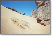 app0006_2