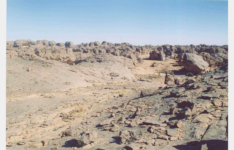 app00071_2