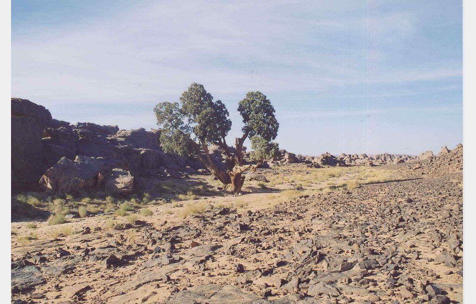 app00074_2