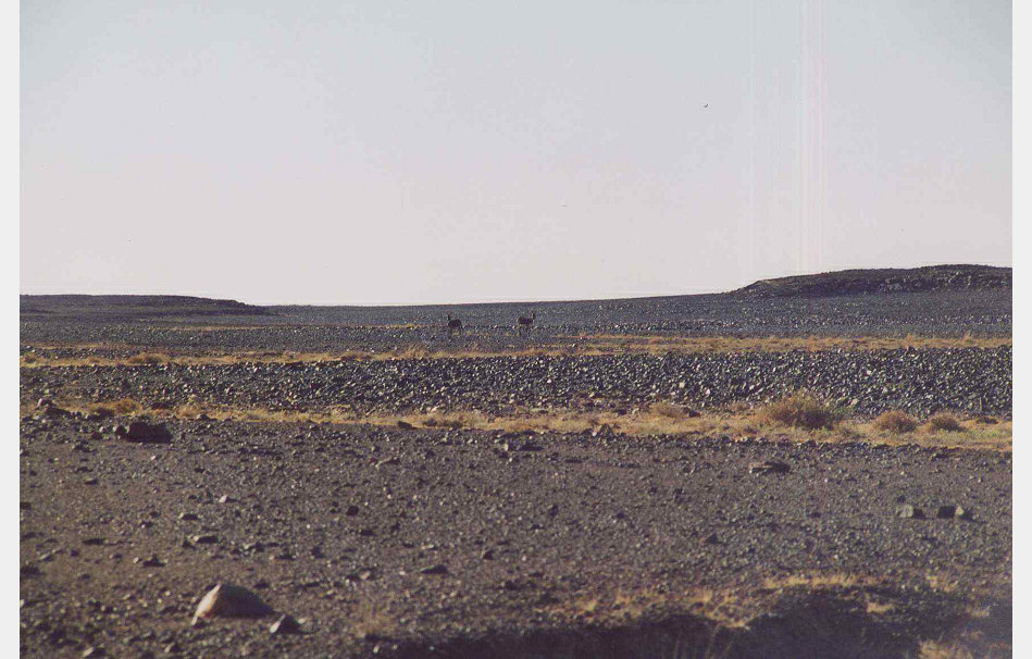 app00087_2