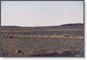 app00087_2