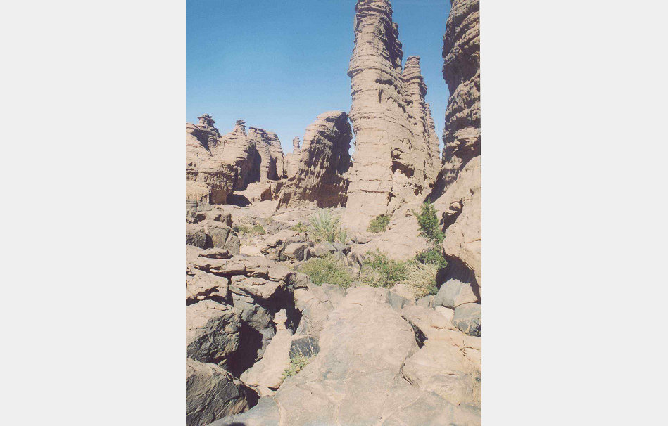 app00090_2