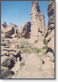 app00090_2
