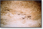app0096_2