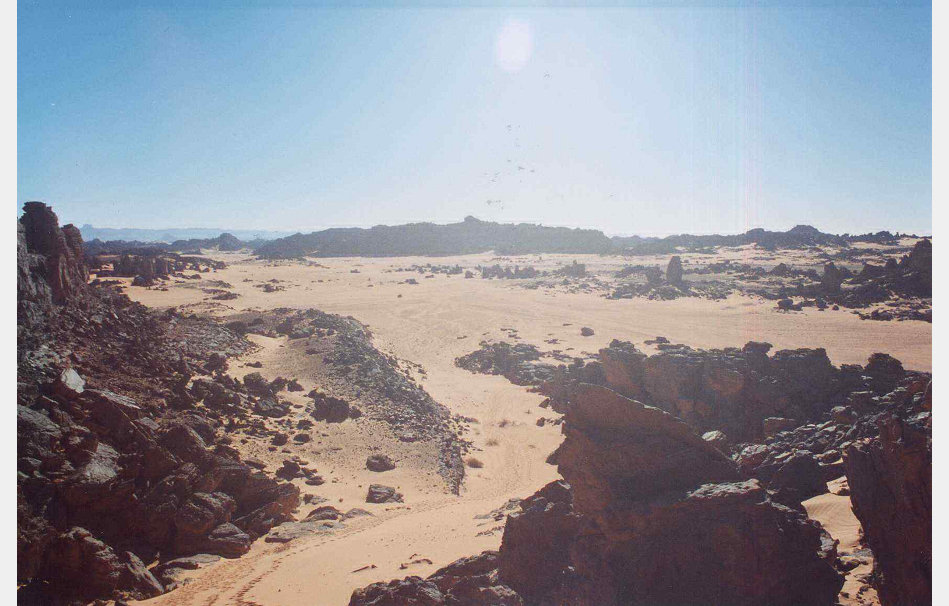 app00013_2