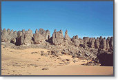 app00011_2