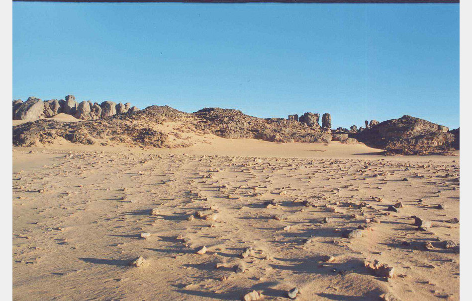 app00021_2