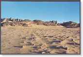 app00021_2