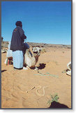 app00025_2