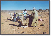 app00026_2