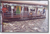 app00045_2