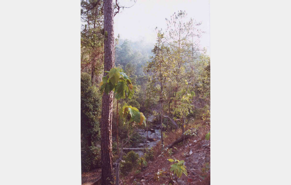 app00082_2