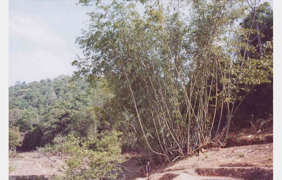 app00092_2