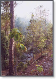 app00082_2