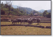app00091_2