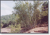 app00092_2