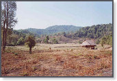 app00097_2