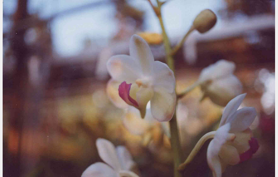 app00017_2