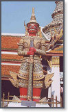 app00011_2