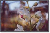 app00017_2
