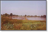 app00031_2