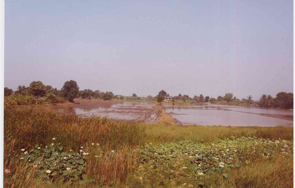 app00031_2