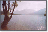 app00035_2