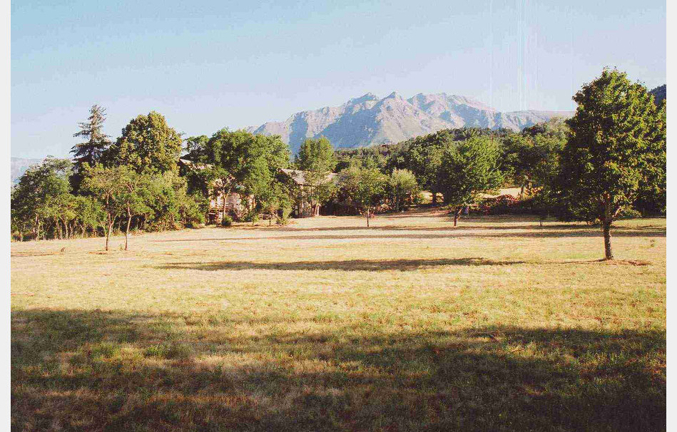 app00003_2