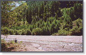 app00028_2