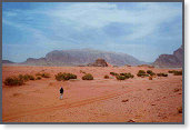 app00040_2