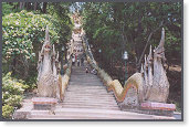 app00044_2