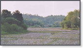 app00055_2
