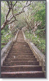 app00076_2