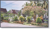 app00082_2