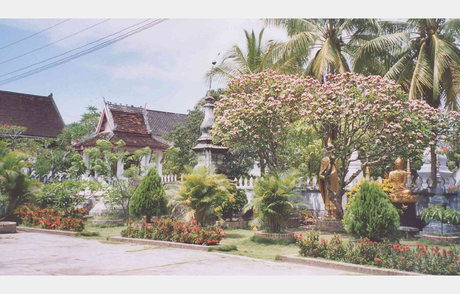 app00082_2