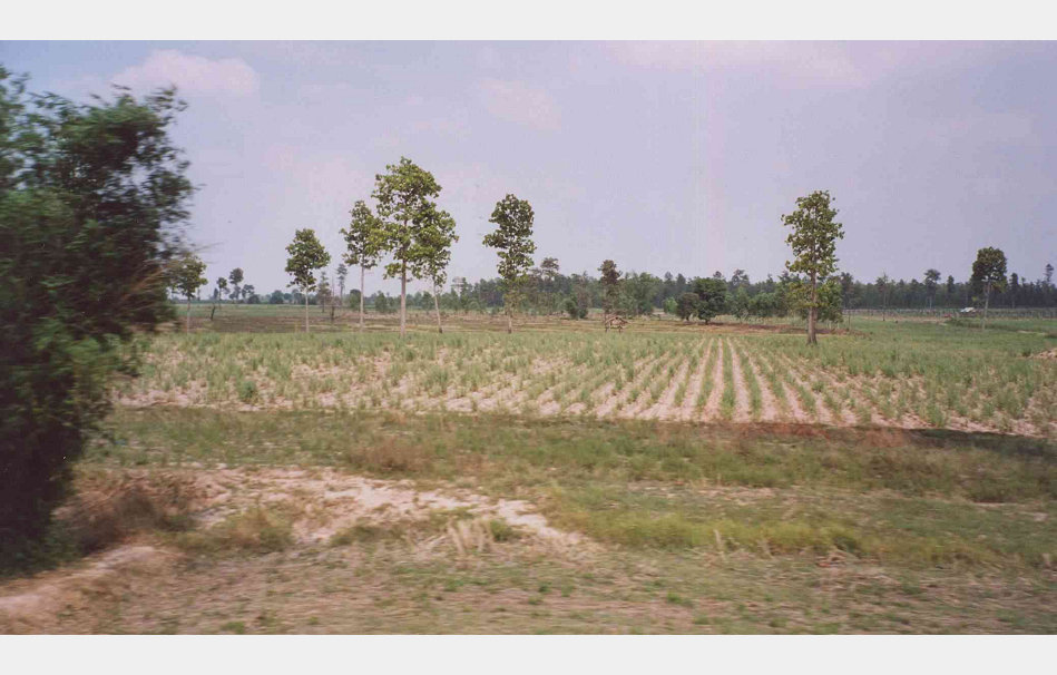 app00095_2