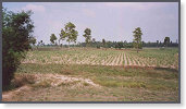 app00095_2