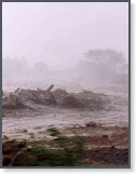 app00110_2