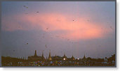 app00015_2