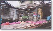 app00030_2